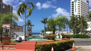 今回は南の方を散策中にカヌーがさっそうと走り抜けました