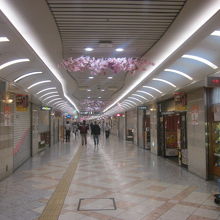 午前中のなんばウォークは比較的空いている印象でした