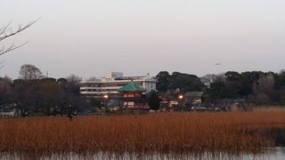 野鳥も集うゆったり・のんびりできる場所