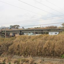 南側から見た新所原高架橋