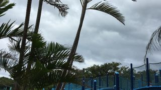 子連れにはアスレチックがおすすめ