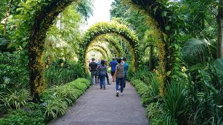 シンガポール初の世界遺産