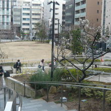 傾斜地にある淡路公園の上部区画には、階段も設計されています。