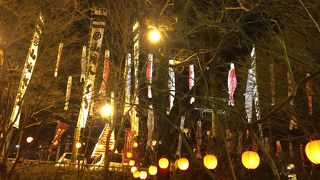 森の中でコタツご飯【山賊】