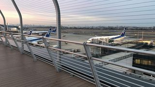 ANAとJALがきれいに分かれてる