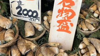 西国街道沿いで有名な朝掘りのタケノ子販売のお店はけここです