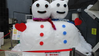 新潟の特産物が豊富にあります