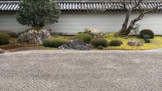 見る価値ありです