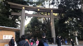 東京のオアシス