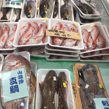 新鮮なお魚