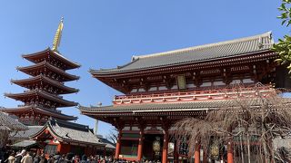 観光客に大人気