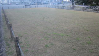 瑞穂公園一帯は、遺跡の宝庫でもありました