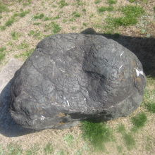 南極の石の一例