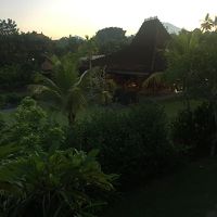 部屋からの景色