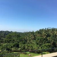 レストランからの景色