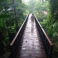 ホテル敷地内の橋。雨あがり。