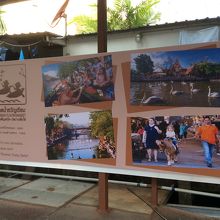 何か新しい水上マーケットができたらしい