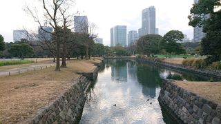 浜離宮恩賜庭園の大手門側にある立派な内掘です。気持ち良く泳ぐ鴨を鑑賞できます。