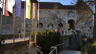 リュブリアナを見下ろしています