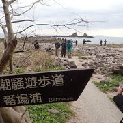 真鶴岬の突端近くの海岸にある。名前の通り潮の香りや波の音が心地よかった