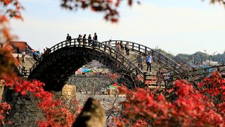 美しい姿に写真撮りまくり