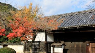 春には桜、秋にはモミジに彩られます