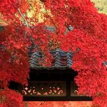 門の外も内も真っ赤