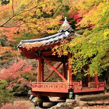 モミジの赤と競うような朱塗りの「六角亭」