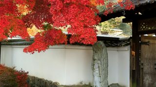 紅葉が素晴らしい