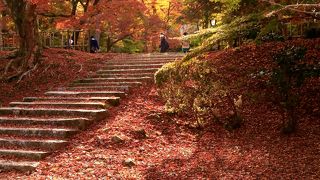 頭上も足元も真っ赤に染まる