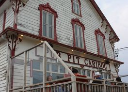 Pub Pit Caribou