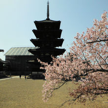 法隆寺 五重塔(北面)