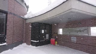 珍しいチョウザメを見学