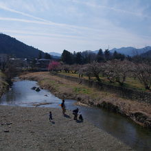 越辺川と越生梅林