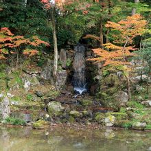 豊かな水量の翠滝
