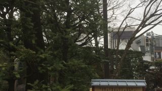 石碑がたくさん