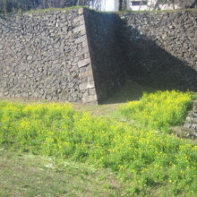 春の名古屋城南側のお堀の様子