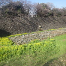 石垣の整備もまだまだ進行中のようでした