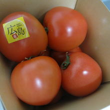 購入したトマト