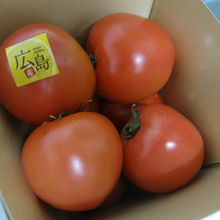 購入したトマト