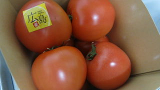 JR広島駅北の新施設