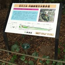 遊歩道について