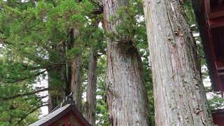 東照宮とあわせて