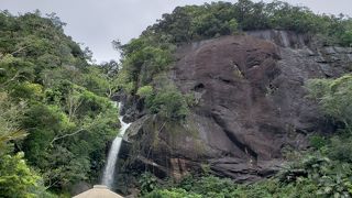 沖縄のバイオダイバーシティを感じる好スポット