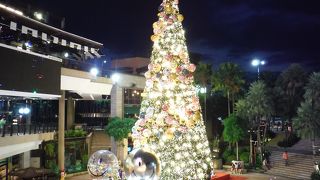 大きなクリスマスツリーが飾られていました