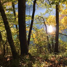 木漏れ日の中から見えるコジャク湖