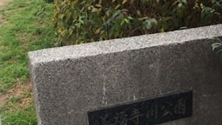 善福寺川沿いの緑道