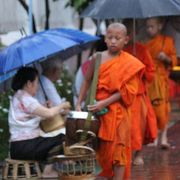 ルアンパバーン観光のハイライト托鉢のスポット　雨でも催行　観光客ばかり