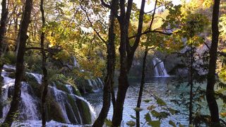 プリトヴィツエ国立公園下湖群にある滝で公園に寄付をしたオペラ歌手の名前がついた滝