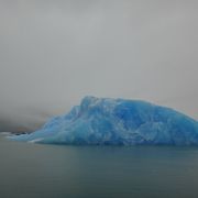 たくさんの氷河が浮遊している